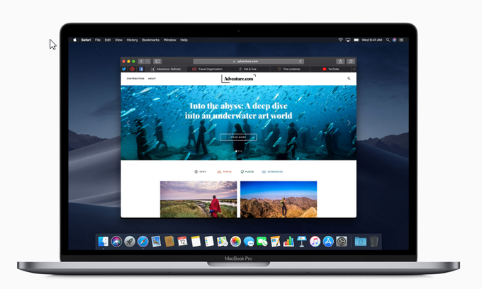 Safari Safari